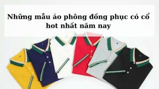 Những mẫu áo phông đồng phục có cổ hot nhất năm nay