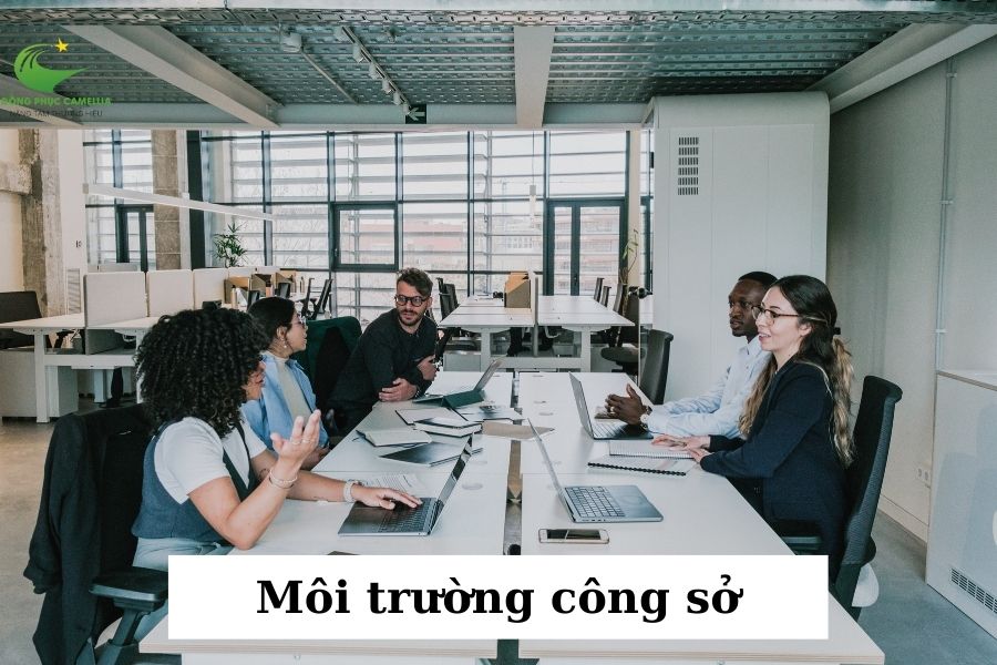 Môi trường công sở