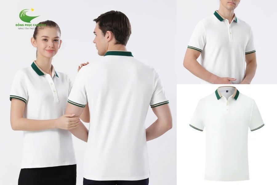 Đối tượng sử dụng chính